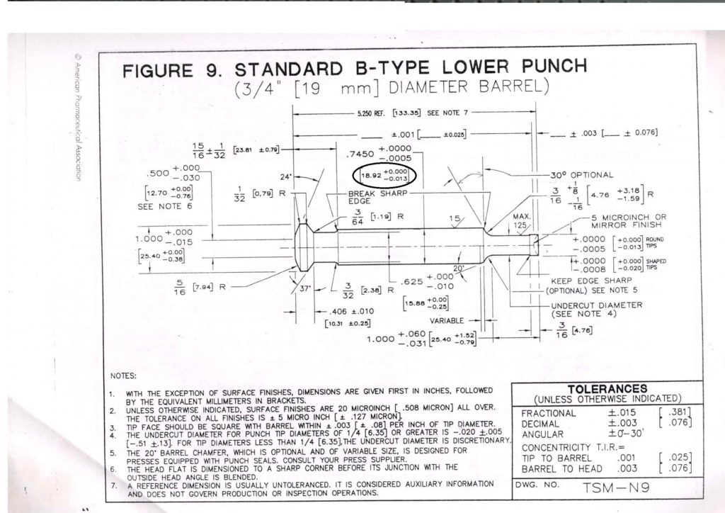 Punzon tipo B Standard B-Type lower punch